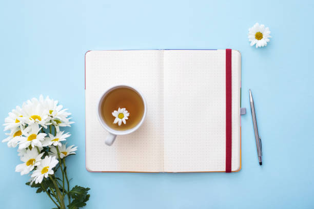 istock Mockup white notebook with spring white flowers on a blue background 1307155803