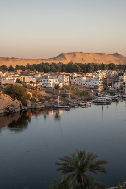 istock Sunrise on the Nile river in Aswan 1307155827