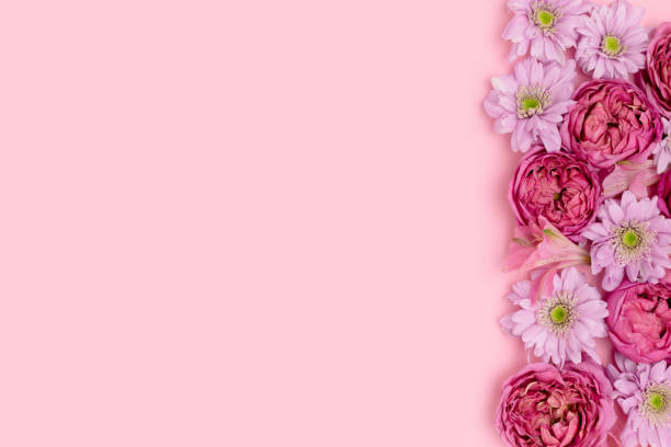 istock Frame made of rose and aster flower texture. 1307159026