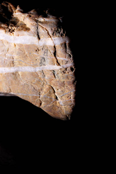 istock mineral stone on a black background 1307159197