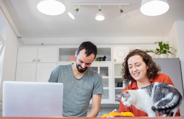 jovem casal vivendo com gato - working at home domestic kitchen laptop computer - fotografias e filmes do acervo