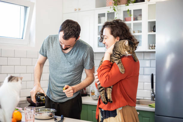 jovem casal vivendo com gato - working at home domestic kitchen laptop computer - fotografias e filmes do acervo