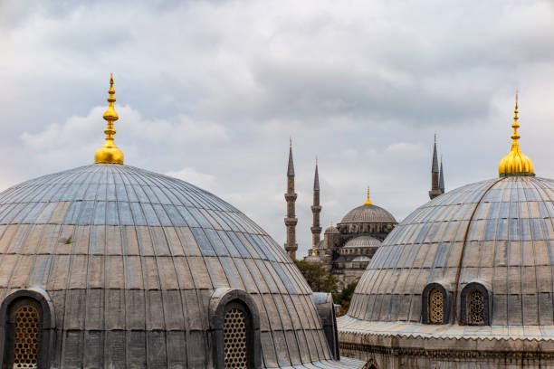 istock Dome of the blue mosque in Istambul 1307161679