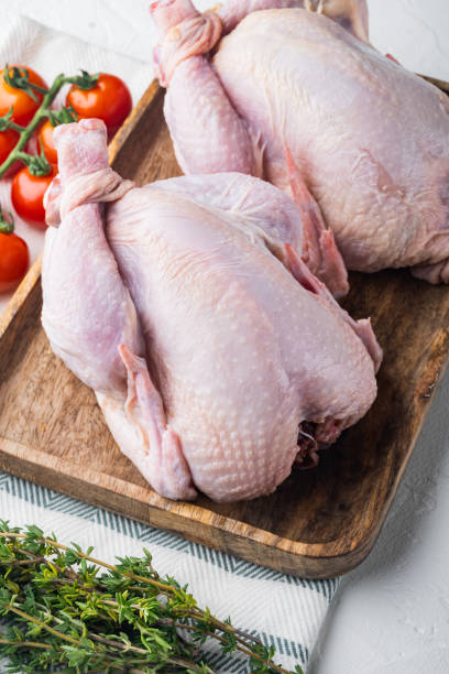 istock Organic whole poussins with herbs and ingredients, on white background 1307161827