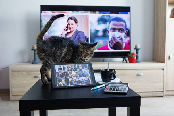 istock Multi screen Home Office Set Up for Webinar and Teleconference 1307163784