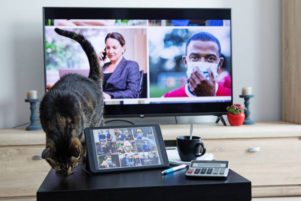 istock Multi screen Home Office Set Up for Webinar and Teleconference 1307164282