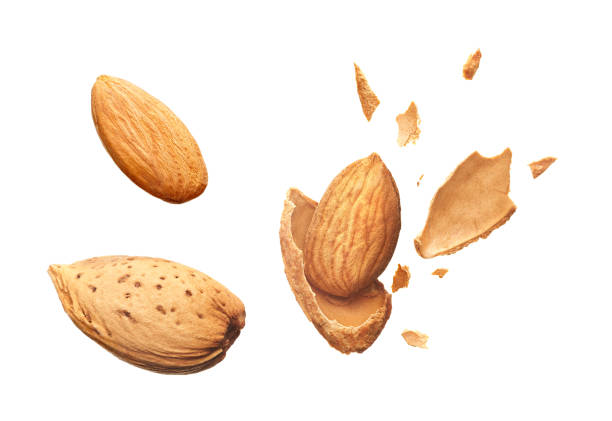 istock Almond shell cracked into pieces and whole almond isolated on white 1307177899