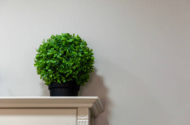 istock A pot with a flower on a cabinet against a gray wall 1307178536