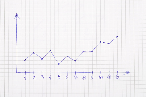 Photography of Statistical  graph (12 months), drawn with pen on note pad