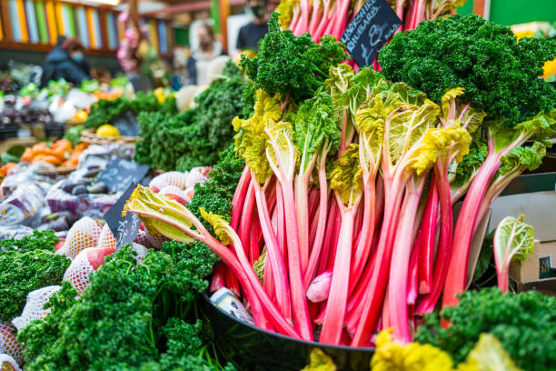 rabarbaro fresco in vendita al mercato alimentare - rabarbaro foto e immagini stock