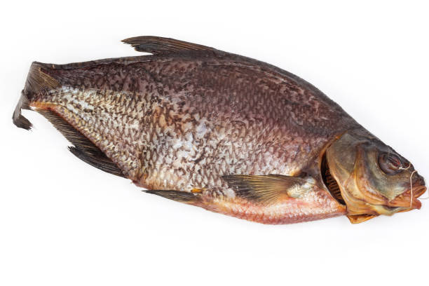 istock Salted and dried bream on a white background 1307183968