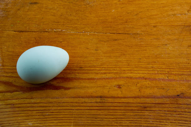 Single green Araucana chicken egg laying on a wooden cutting board with copy space
