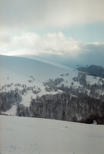Scenic view of winter in Carpathian mountains