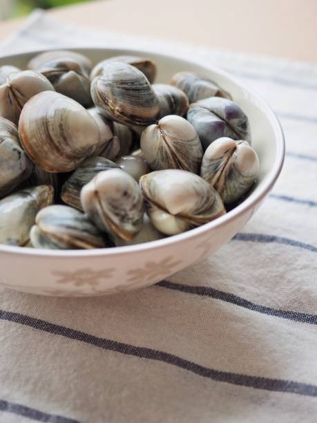istock Fresh clams in a ceramic bowl 1307185369
