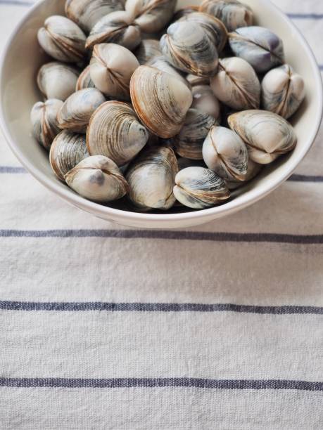 istock Fresh clams in a ceramic bowl 1307185383