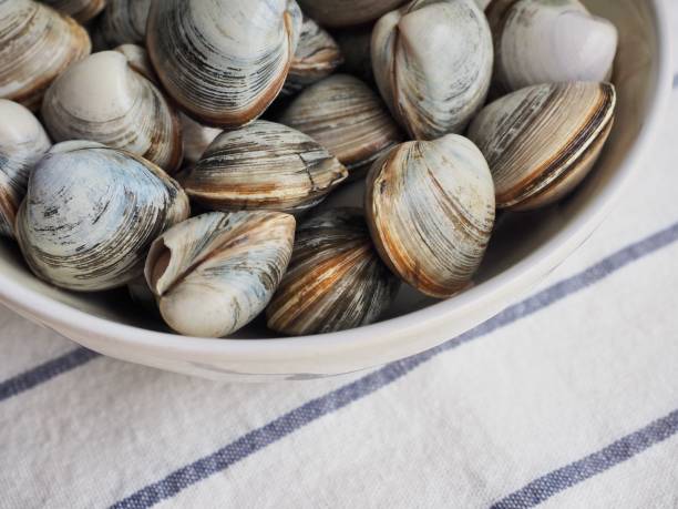istock Fresh clams in a ceramic bowl 1307185394