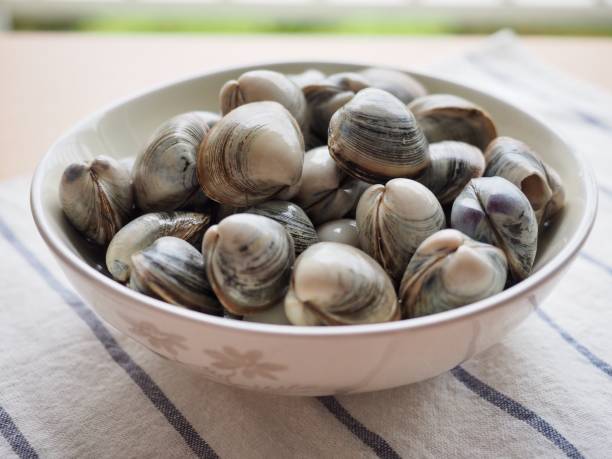 istock Fresh clams in a ceramic bowl 1307185431