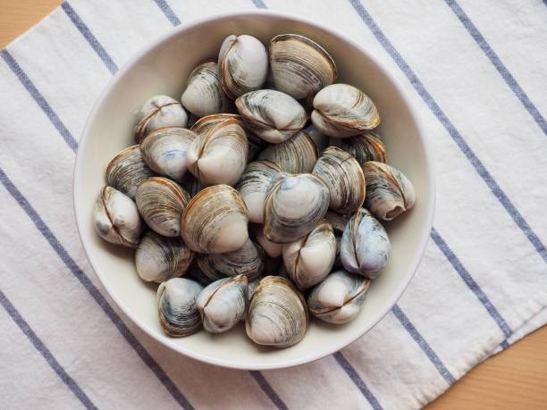 istock Fresh clams in a ceramic bowl 1307185434