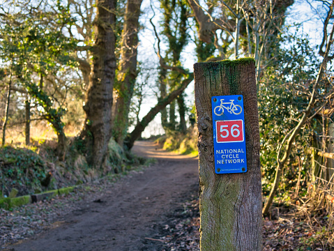 A blue metal sign on a wooden post indicates the route of UK National Cycle Network route 56. Taken on a sunny day in winter in countryside Wirral in the north west of the UK.
