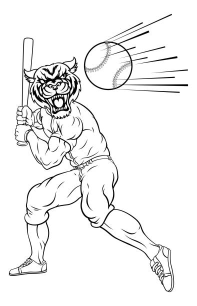 ilustraciones, imágenes clip art, dibujos animados e iconos de stock de tiger baseball player mascota bate oscilante en la pelota - white background baseball one person action
