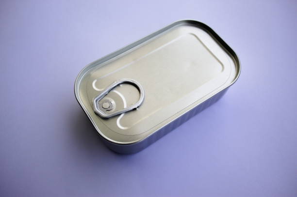 Closed tin can with canned food.