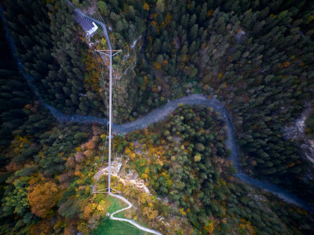 istock drone shot view of beautiful forest with a road 1307190367