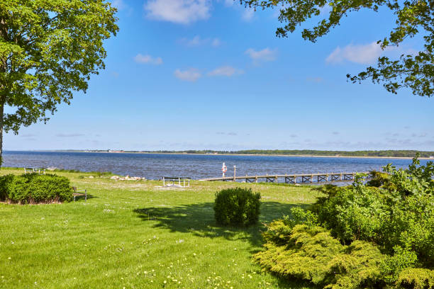 istock large green area with bridge going out to the water 1307190633