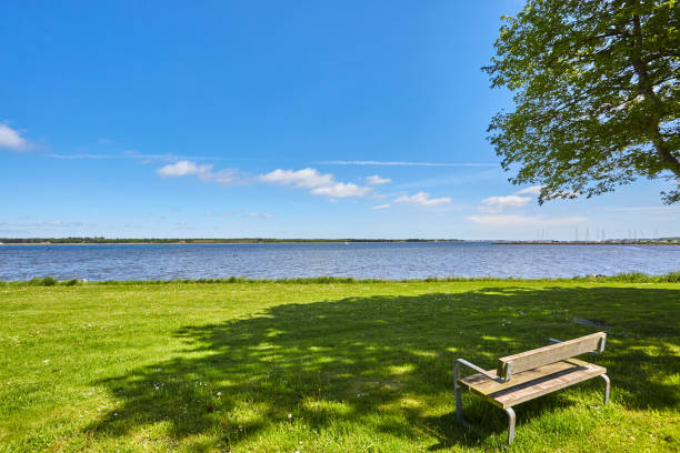 istock large green area with bridge going out to the water 1307190881
