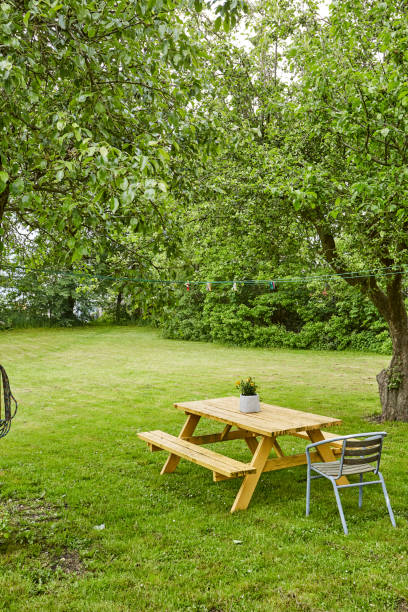 istock a bench in a green area with nice view 1307190913