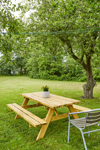 istock a bench in a green area with nice view 1307191039