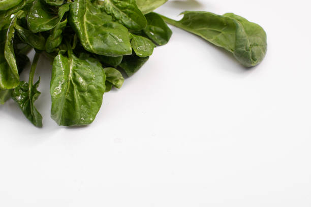 Spinach close-up with water drops on a white background. Healthy eating. copy space