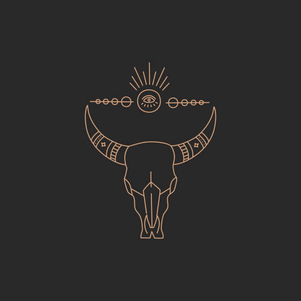 magiczna czaszka byka, geometryczny kształt złota prosty kontur - ox tail stock illustrations