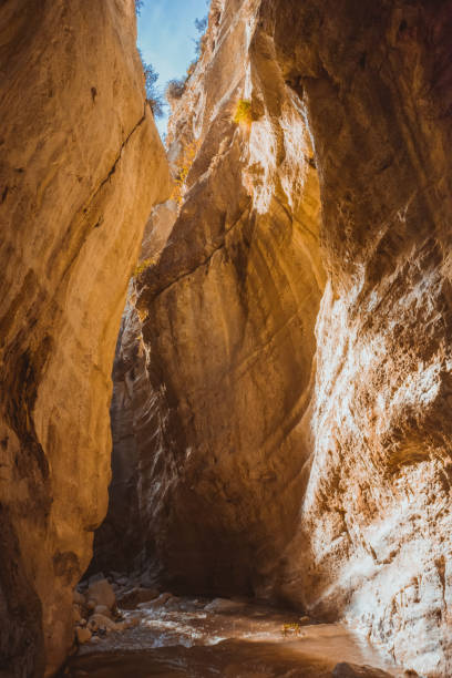 istock Avakas canyon, Cyprus 1307193265