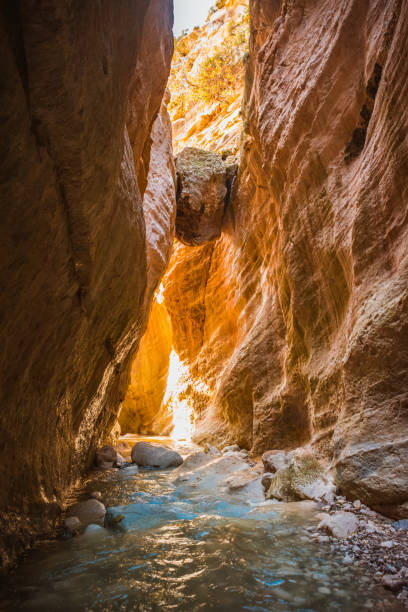 istock Avakas canyon, Cyprus 1307193310