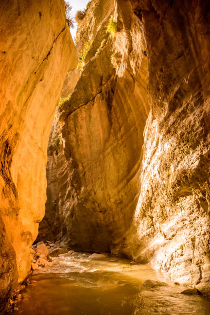 istock Avakas canyon, Cyprus 1307193311