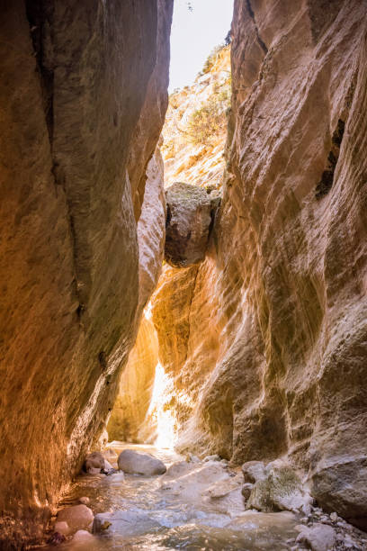 istock Avakas canyon, Cyprus 1307193374