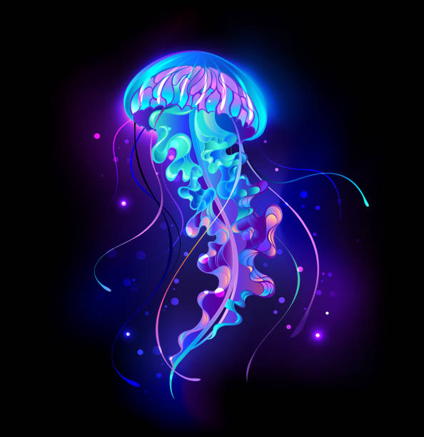 Large glowing jellyfish Large, blue, artistically drawn, glowing, bright jellyfish, with long tentacles on black background with purple bioluminescence. Luminous jellyfish. jellyfish stock illustrations