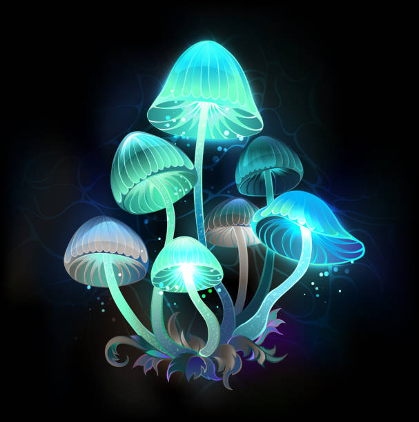 Glowing blue toadstools Mysterious, bioluminescent, blue, green toadstools on night, dark, glowing background. Glowing mushrooms. psychedelic art stock illustrations