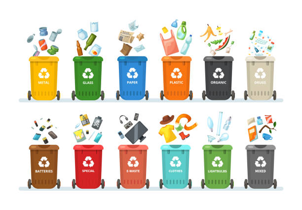 유기, 종이, 플라스틱, 유리, 금속, 정제, 배터리에 대한 정렬 쓰레기 캔에 쓰레기 캔에 쓰레기 캔. 쓰레기를 다른 용기로 분리합니다. 재활용 선별, 폐기물 수거 - recycled bulb stock illustrations