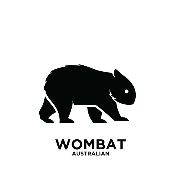 australische wombat tier vektor schwarz silhouette logo symbol illustration design weißen hintergrund - wombat stock-grafiken, -clipart, -cartoons und -symbole