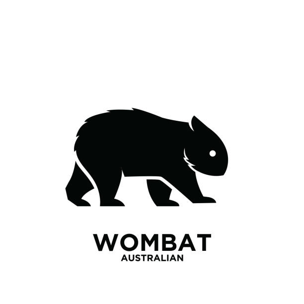 австралийский вомбат животных вектор черный силуэт логотип значок иллюстрации дизайн белый фон - wombat stock illustrations