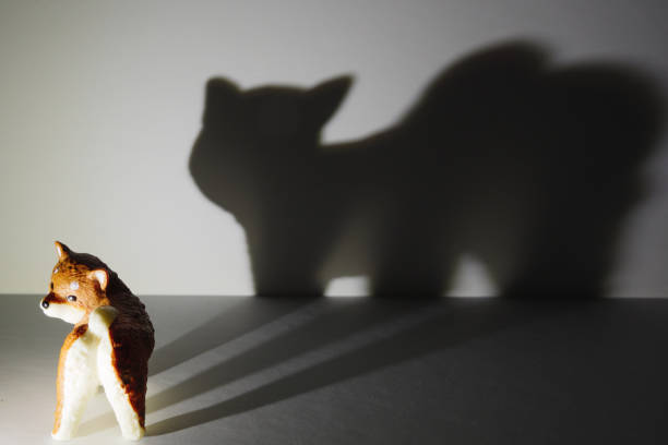 The shadow of a giant beast projected by a small puppy