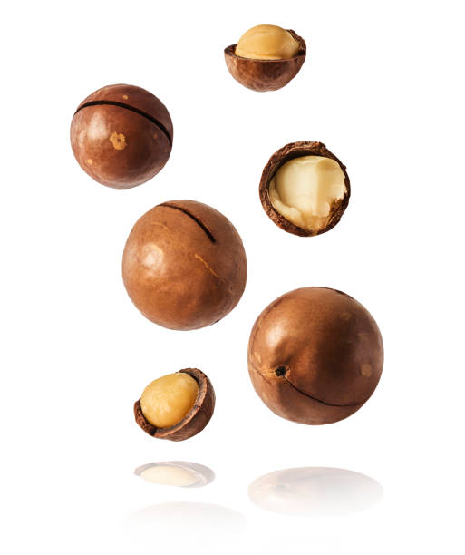 Fresh tasty macadamia nuts falling in the air stock photo