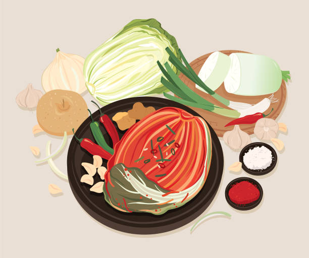 Kimchi, a traditional Korean fermented food. Korean cabbage pickles food vector illustration. Kimchi stock illustrations