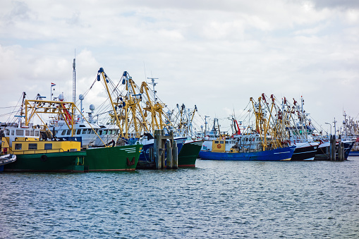 Fishing harbour in the Netherlands