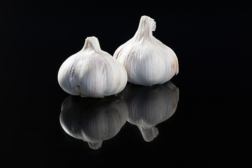 Two heads of garlic, with a reflection, on a black isolated background. Close-up, copy space.