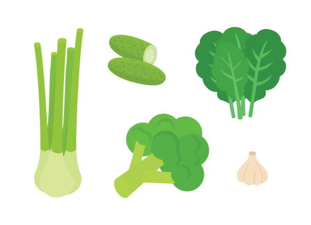 ilustrações de stock, clip art, desenhos animados e ícones de vegetables set isometric vector illustration - food vegan food gourmet vegetarian food