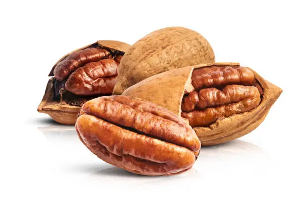 Fresh tasty pecan nuts isolated on white background. High resolution image.