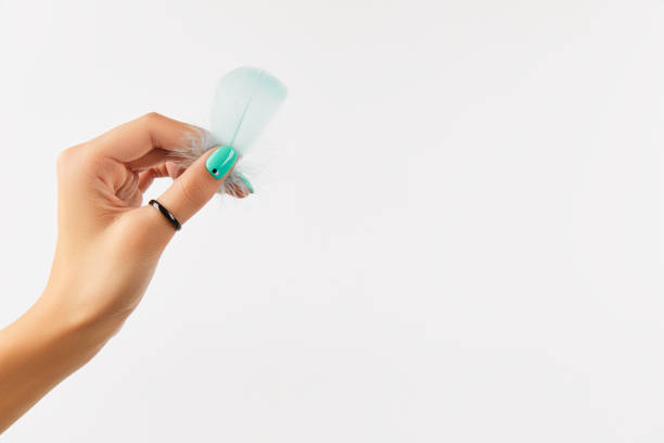 Well-groomed female hand holding feather on white background. Beauty self care concept