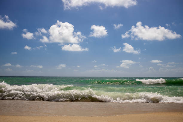 istock strong waves on beautiful sea sandy beach with blue cloudy sky 1307211188